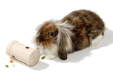 Karlie Snack Roll Geschicklichkeitsspielzeug für Kaninchen